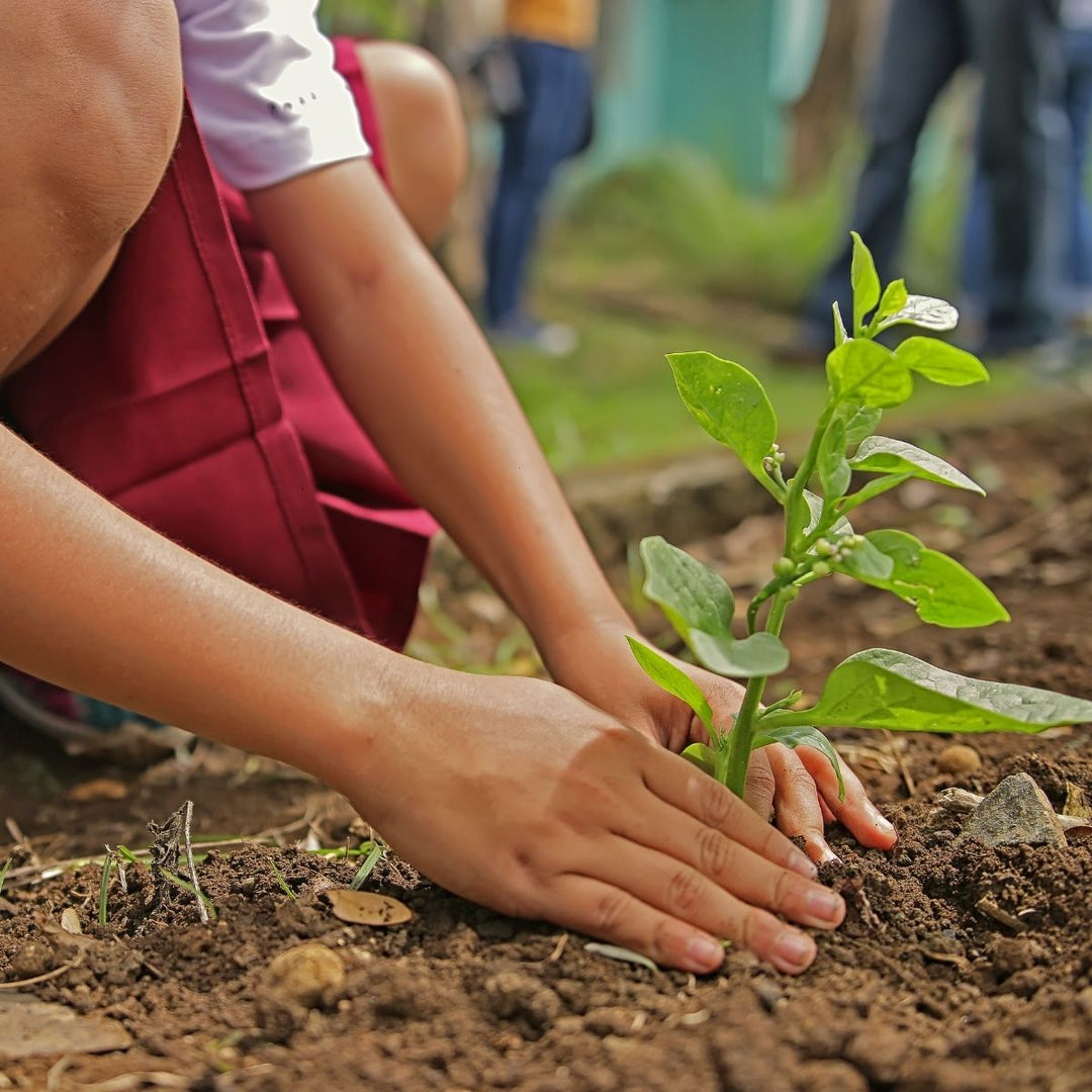 How To Celebrate Arbor Day 2022 With Darn Good Yarn! - Darn Good Yarn