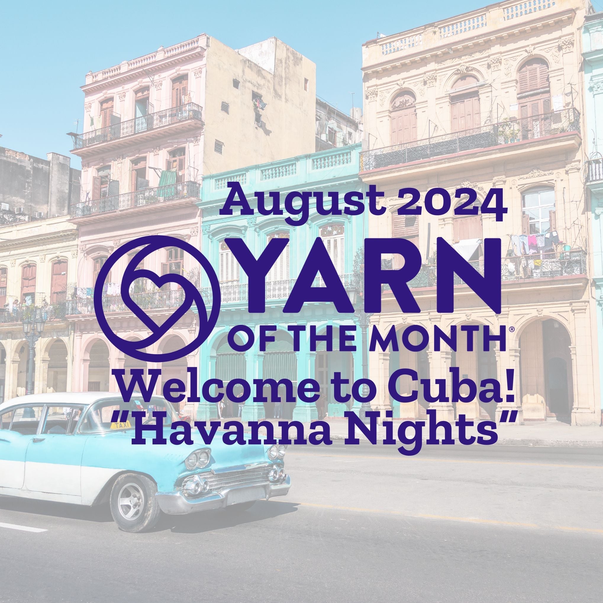 Yarn of the Month - August 2024