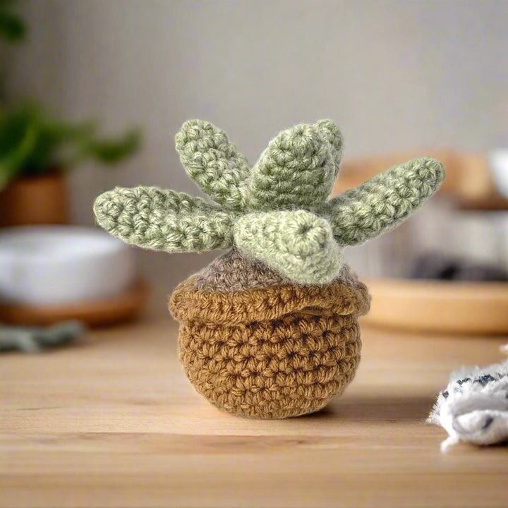 Succulent Greens Amigurumi Kit